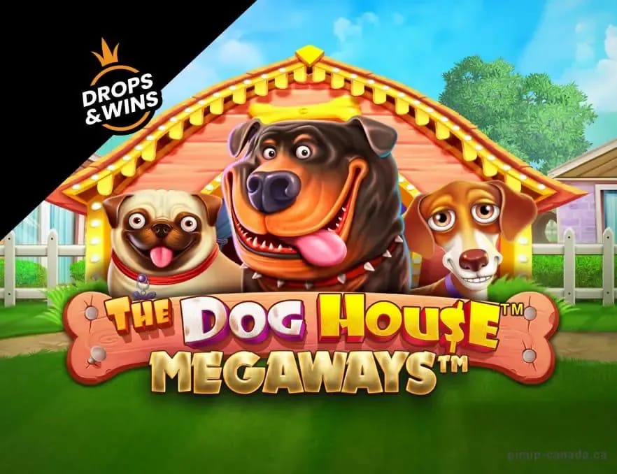 Gambling company site - onlywincasino-site (Gallery 1-15)