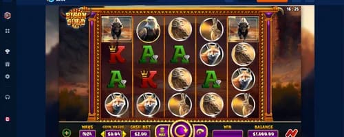 Gambling company site - onlywincasino-site